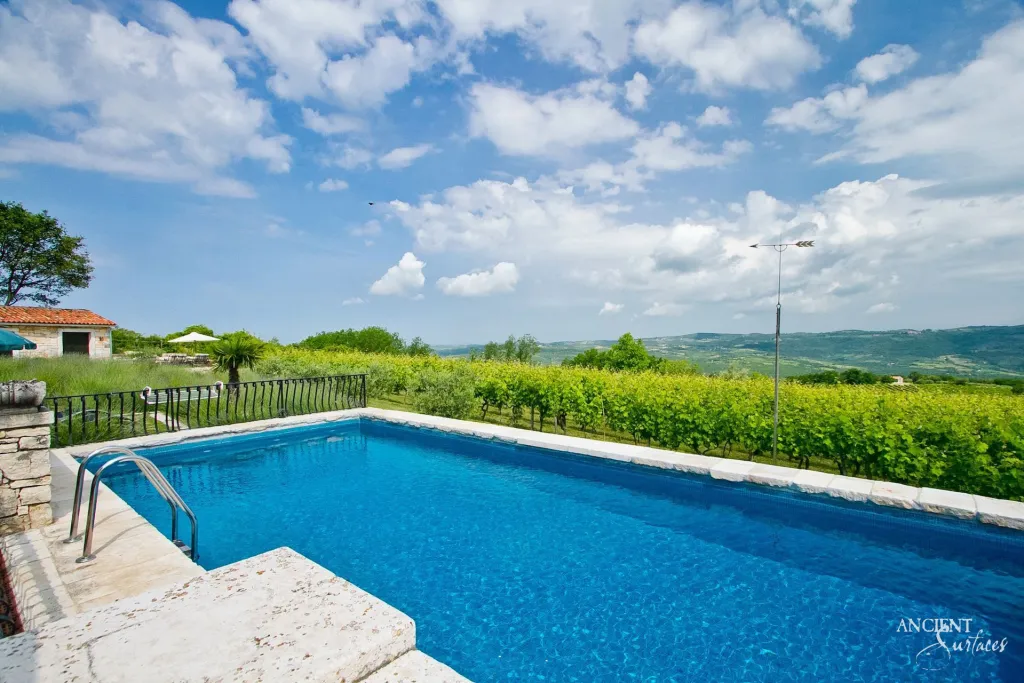 Rectangular swimming pool bordered in pale limestone coping beside rows of vineyard vines