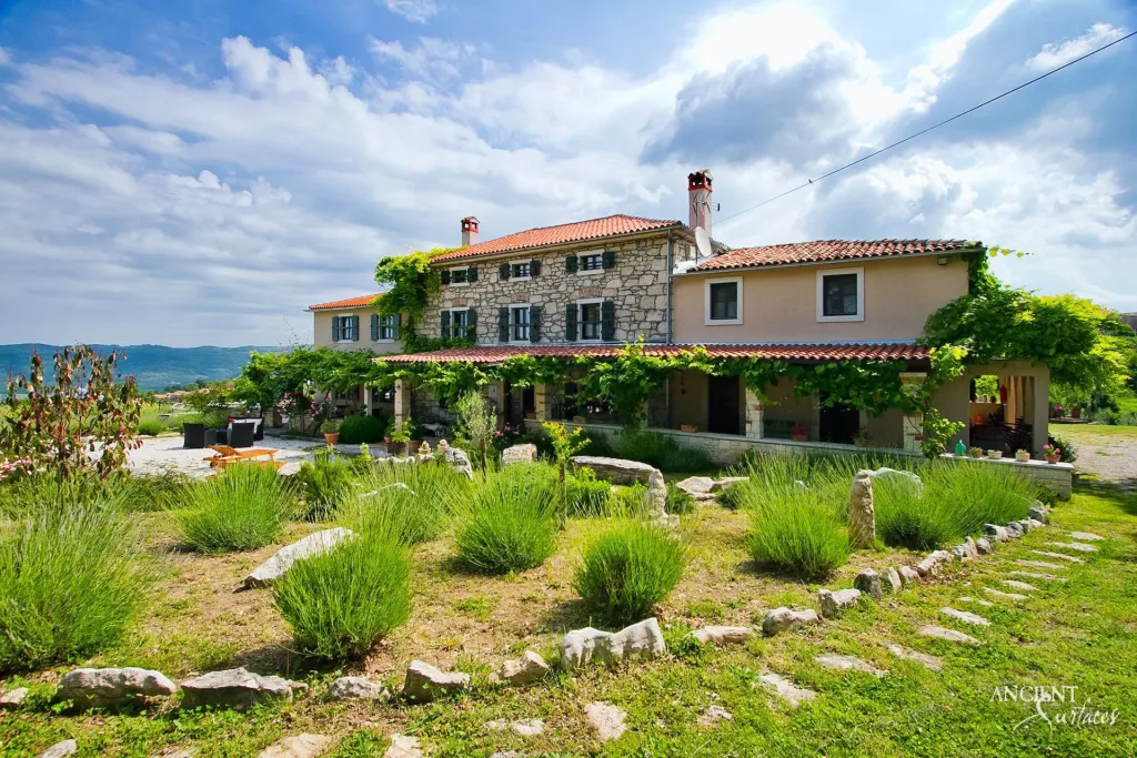 Stone farmhouse villa facade with a tiled roof and climbing vines set among vineyard covered hills